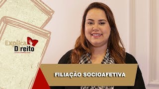 Explica Direito Filiação Socioafetiva  2019 [upl. by Seraphine]